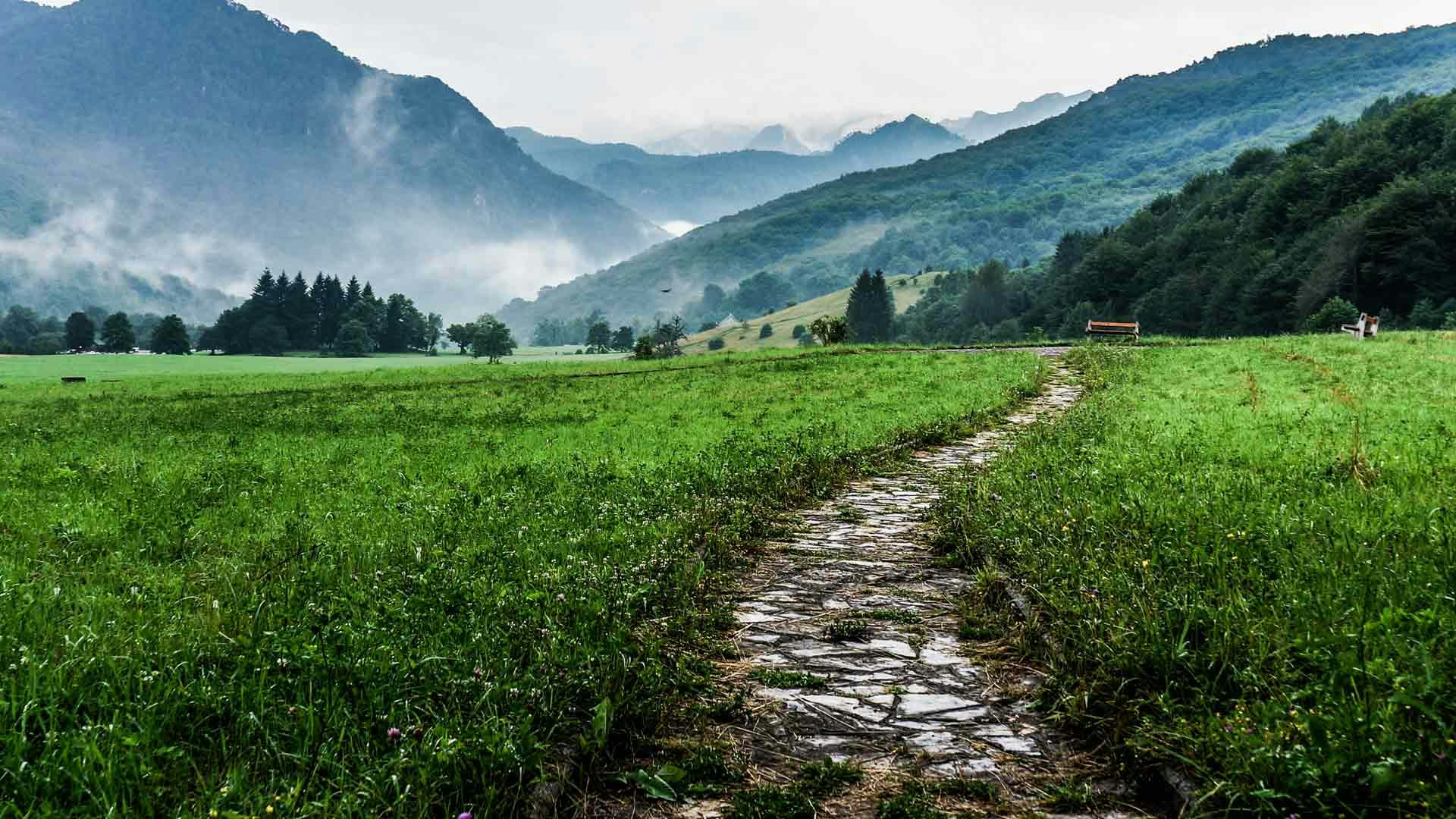 Content Plan Trail
